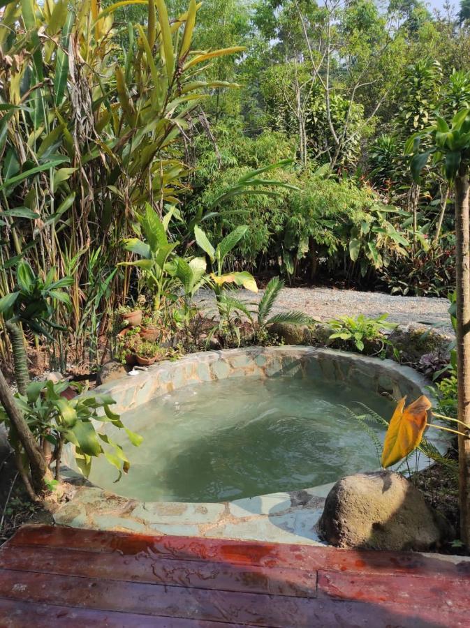 Отель Glamping Salento Con Jacuzzi Climatizado Экстерьер фото